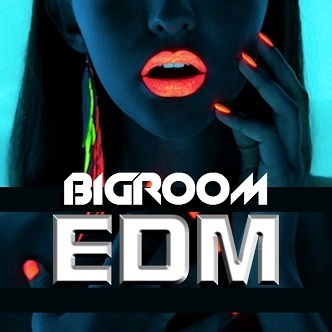 Big Room template (Revealed, Spinnin and more Big Room labels style + FLP)