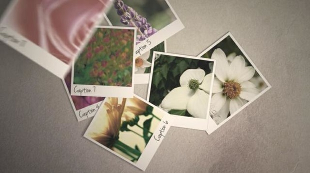 Falling Photo Slideshow - After Effects Template