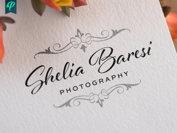 Vintage style Photography Logo Bundle