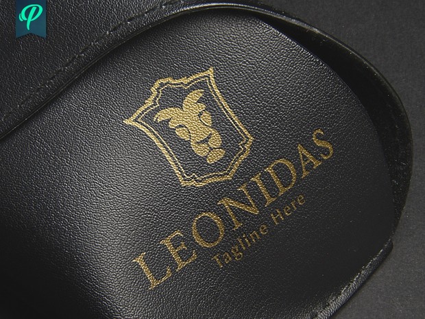 Leonidas - Lion Logo Template
