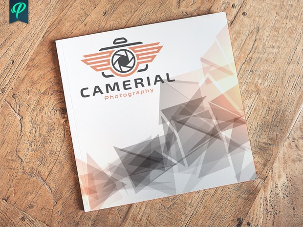 Camerial - Aerial Photography Logo