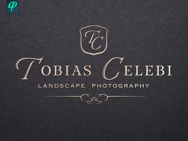 Vintage style Photography Logo Bundle
