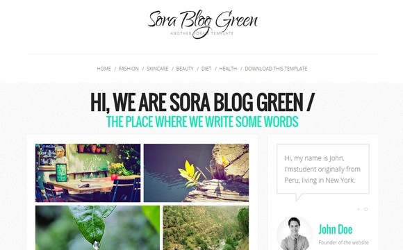Sora Blog Green Blogger Template Premium Version