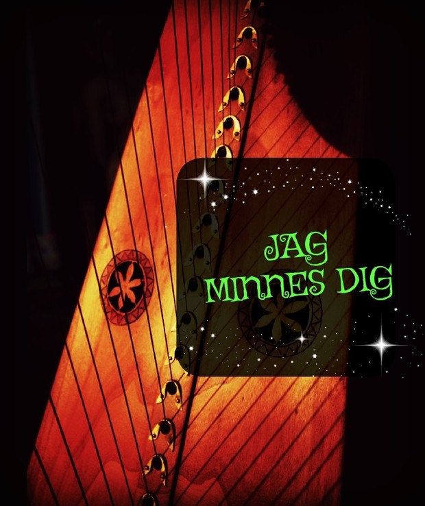175-JAG MINNES DIG PACK