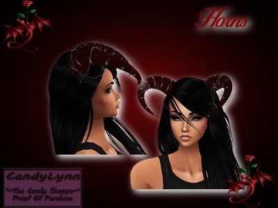 Accessories - Horns