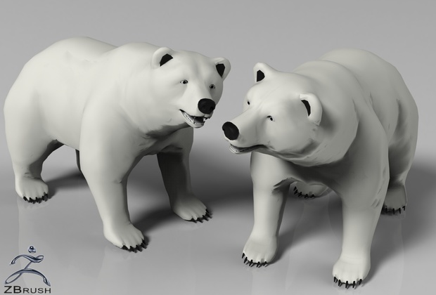3D Polar Bear Interior Model