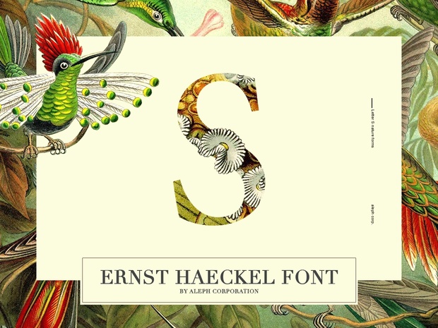 || Ernst Haeckel Font ||