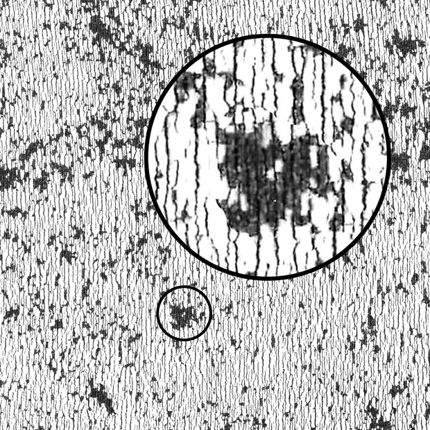 Lo-Fi Ink Textures & Brushes
