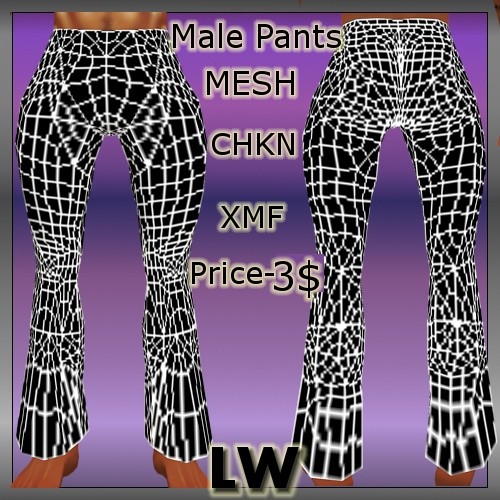 Male Pants MESH