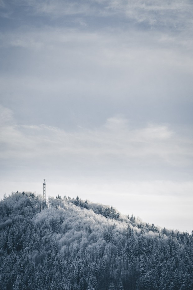 Winter 2