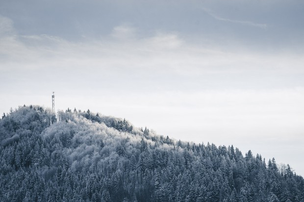 Winter 1