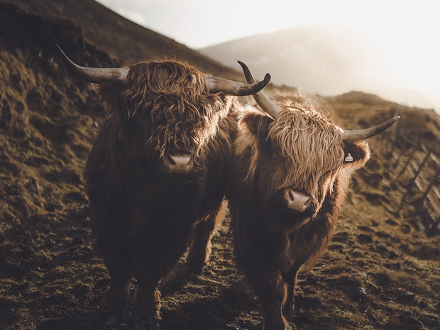 Faroe Islands Lightroom Presets by SVB