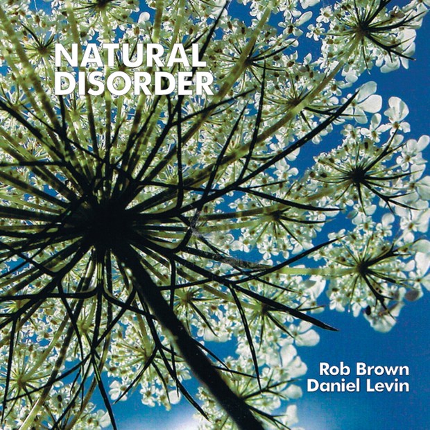 MW844 Natural disorder - Rob Brown / Daniel Levin