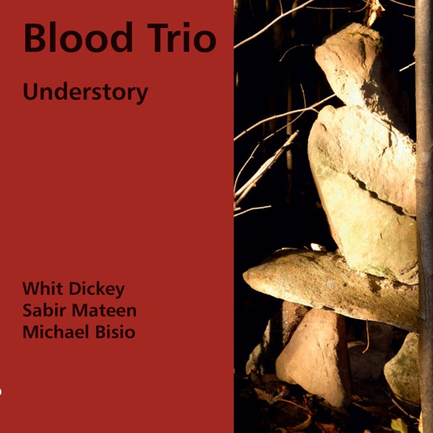 MW882 Understory by Blood Trio