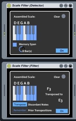 Scale Auto-Detector and Randomizing Filter
