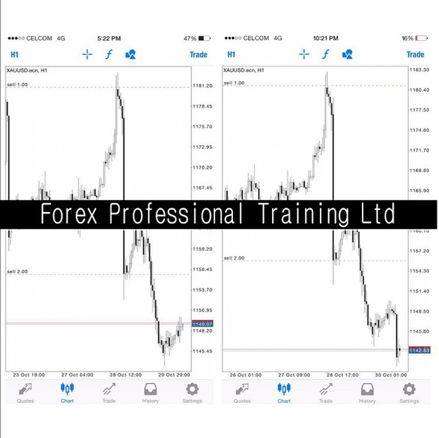 REAL FOREX PRICE ACTION METHODS THAT MAKES MONEY