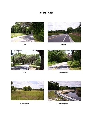 Floral City Scenic Motorcycle Ride