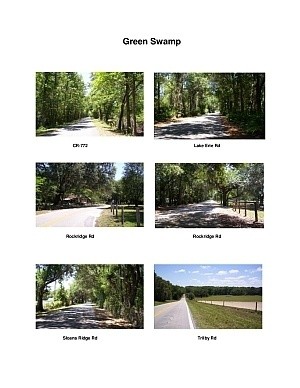 Green Swamp Scenic Motorcycle Ride (Dade City)