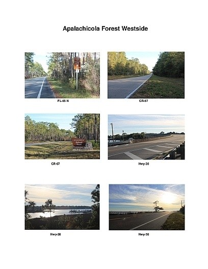 Apalachicola Forest Westside Scenic Motorcycle Ride