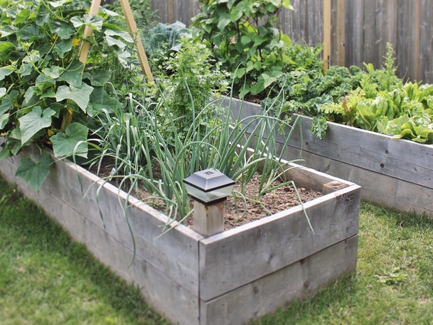 U-Shaped Raised Garden Bed Drawing & Rendering