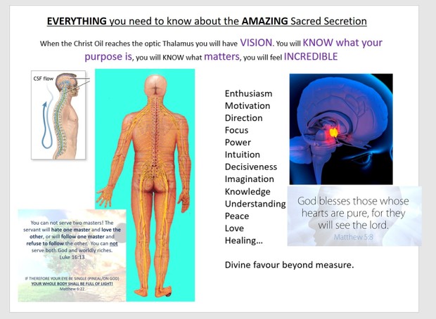 SEEK VISION - Sacred Secretion / Christ Oil Transcript. Full Biblical and physiological break down.