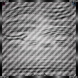 Wrinkles V4