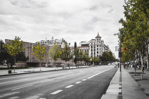Madrid street