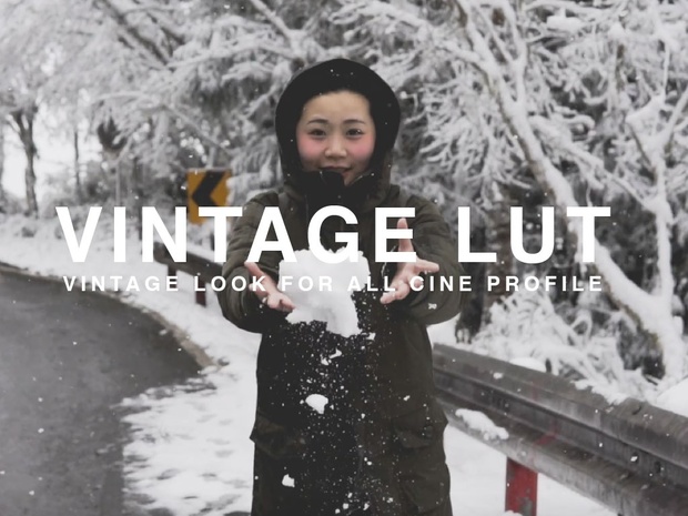 CINE VINTAGE LUTs