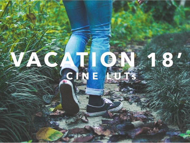 VACATION 18' LUTs