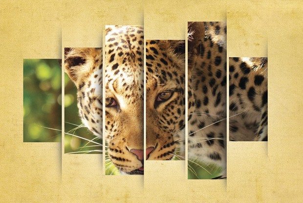 Leopard Display Poster Art