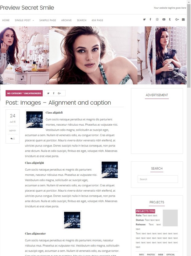 WordPress Theme #02 (Responsive)