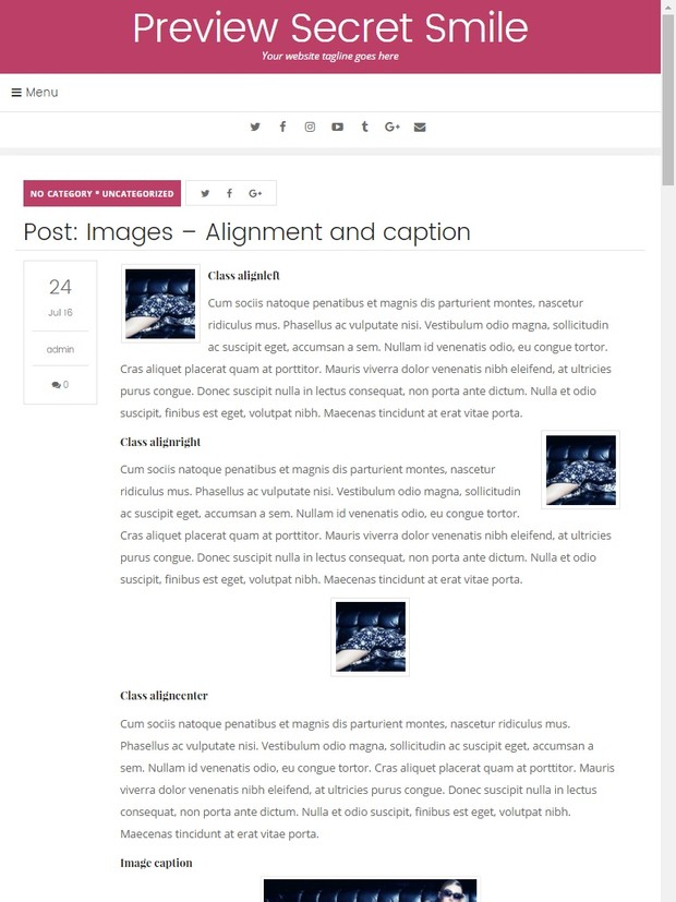 WordPress Theme #02 (Responsive)