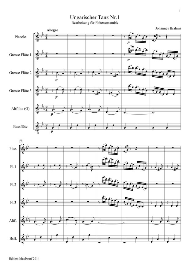 Ungarischer Tanz Nr.1 (Flötenensemble)