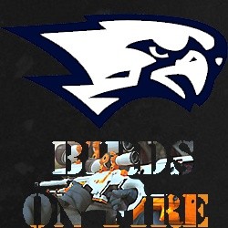 birds on fire cs