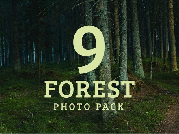 Forest Photo Pack