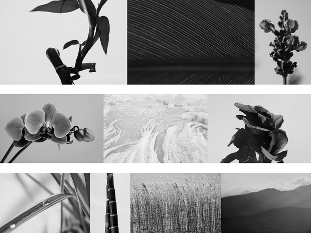 Zen Style Photo Pack
