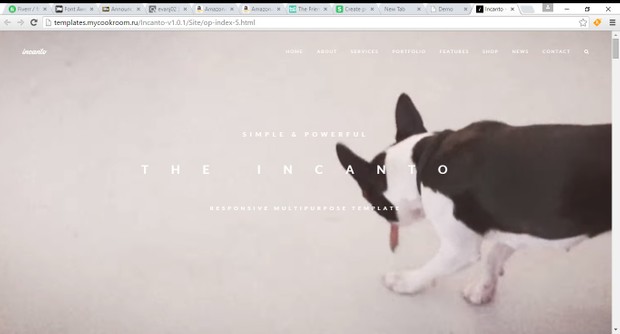 Incanto Responsive Theme