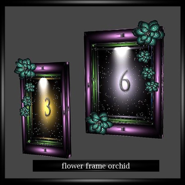 FLOWER FRAME ORCHID