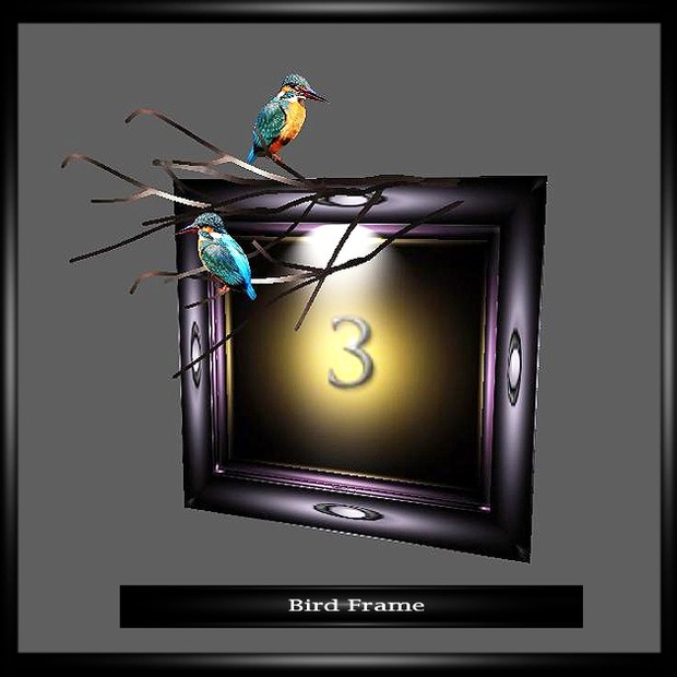 BIRDS FRAME