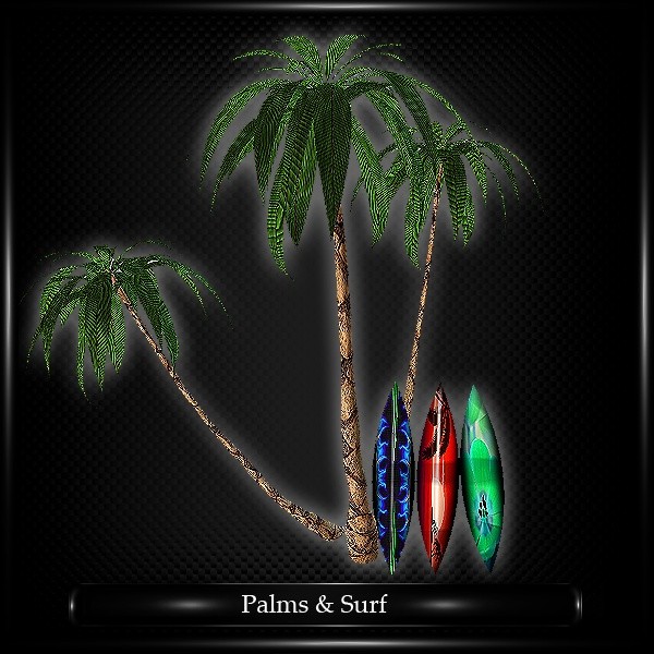 PALMS AND SURF