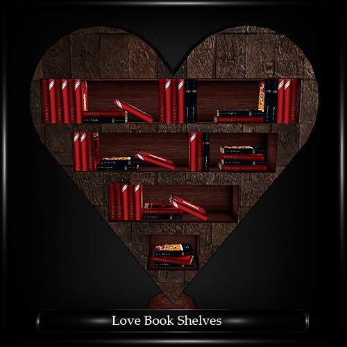 Love Book Shelves