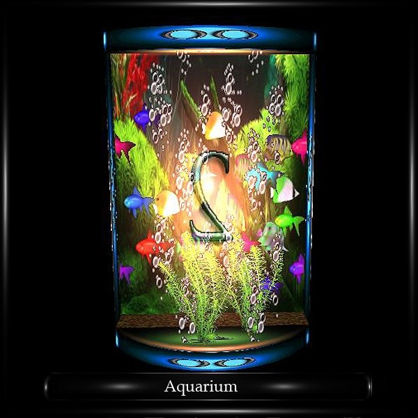 AQUARIUM