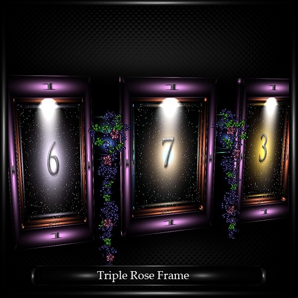 TRIPLE ROSE FRAME