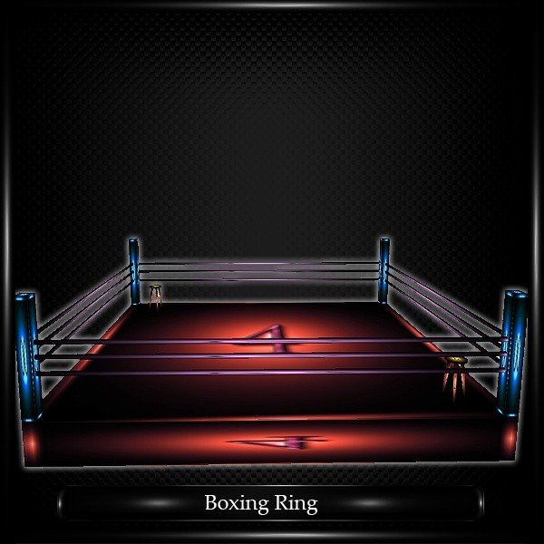 BOXING RING