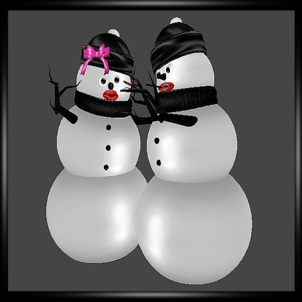 Snow Couple