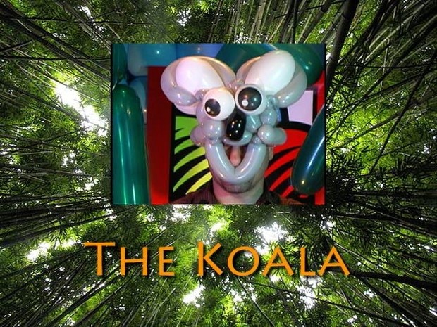 Koala Bear Hat Twisting Balloon Recipe by Jimmy Leo
