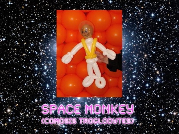 Space Monkey Balloon Animal by Jeff Hayes