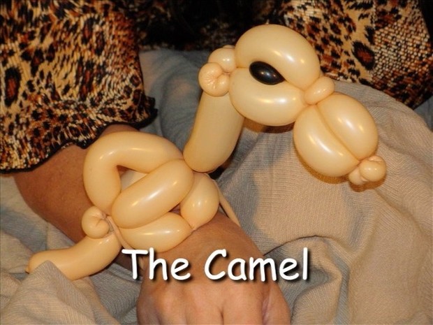 Camel Balloon Animal Bracelet by Vicky Kimble