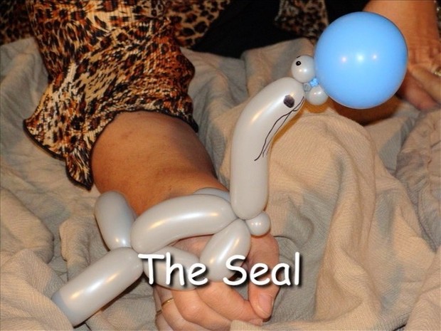 Seal Balloon Animal Bracelet by Vicky Kimble