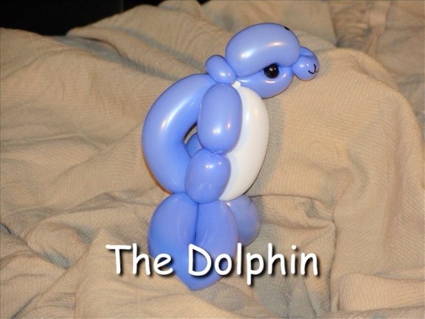 Dolphin Balloon Animal Bracelet by Vicky Kimble